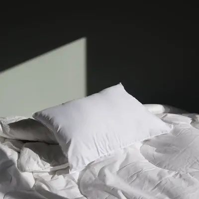 Couettes et oreillers - Coussin de remplissage 40x60 cm - BED AND PHILOSOPHY