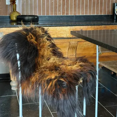 Other caperts - Tinted Icelandic Sheepskin - MAISON THURET