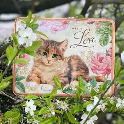 Gifts - Printed metal storage boxes - ESPRIT BRITISH BY MAISON ROYAL GARDEN