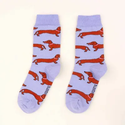 Chaussettes - Chaussettes Teckel - Coucou Suzette - COUCOU SUZETTE