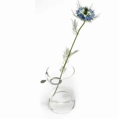 Cadeaux - Porte-fleurs - RAUMGESTALT