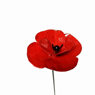Decorative objects - Poppy Recycled Metal Garden Spike 90cm - TERRE SAUVAGE