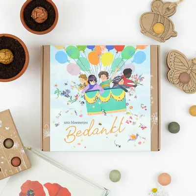 Gifts - Gift Box Medium - Air Balloon - BLOSSOMBS