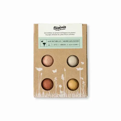 Gifts - Gift Box Mini with 4 Blossombs Seed Bombs - BLOSSOMBS