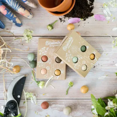 Cadeaux - Le bonheur pousse un jardin - Mini-coffret cadeau biologique - BLOSSOMBS