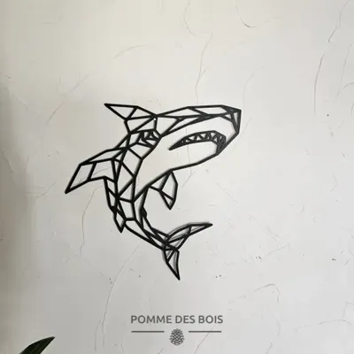 Tableaux - Tableau - Requin Filaire - POMME DES BOIS