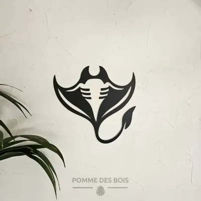 Tableaux - Tableau - Raie Manta de Dos - POMME DES BOIS