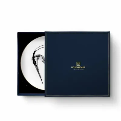 Formal plates - Set of 2 porcelain plates x ARDIF - UNSTANDART