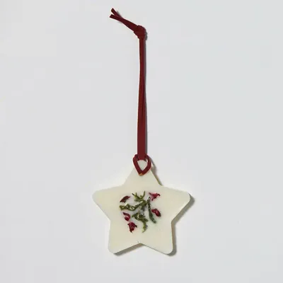 Parfums d'intérieur - Étoile de Noël - KOTT