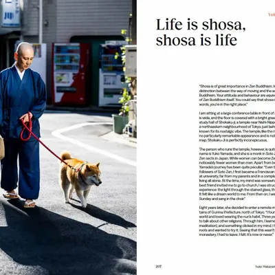 Decorative objects - Shosa - NEW MAGS