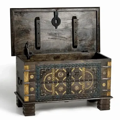 Storage boxes - Dark brown mango wood chest - GINER Y COLOMER