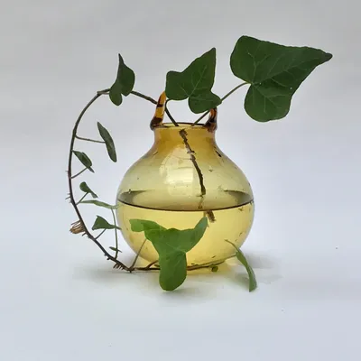 Accessoires de déco extérieure - Vase Bayda - LA MAISON DAR DAR