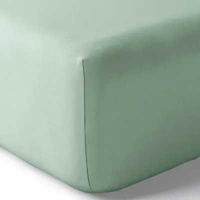 Bed linens - Percale Fitted Sheet 180 x 200 cm Pure Combed Long Fiber Cotton 80 Threads/cm² Celadon - COTON PUR