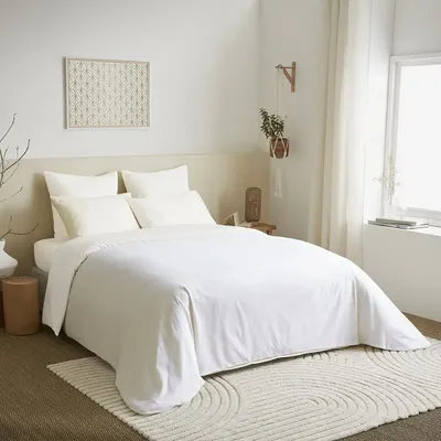 Bed linens - Complete Pack Single-Color Duvet Cover 220 x 240 cm - Fitted Sheet 160 x 200 cm - 100% Cotton 57 Threads - COTON PUR