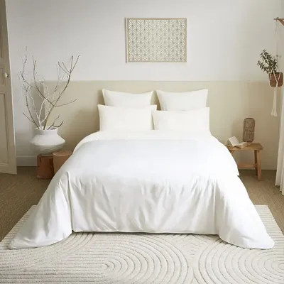 Linge de lit - Pack Complet Housse de couette Unicolore 220 x 240 cm - Drap housse 160 x 200 cm - 100% Coton 57 Fils - COTON PUR