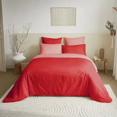 Linge de lit - Pack Complet Housse de couette Bicolore 220 x 240 cm - Drap housse 160 x 200 cm - 100% Coton 57 Fils - COTON PUR