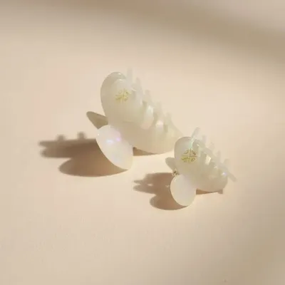 Hair accessories - Small seashell clip - BACHCA