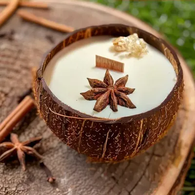 Bougies - Bougie qui devient plante Vanille - LUMINANTE
