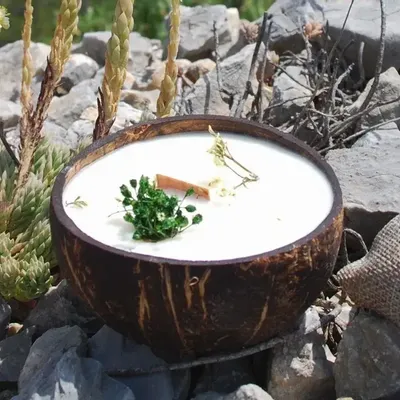 Bougies - Bougie qui devient plante Verveine - LUMINANTE