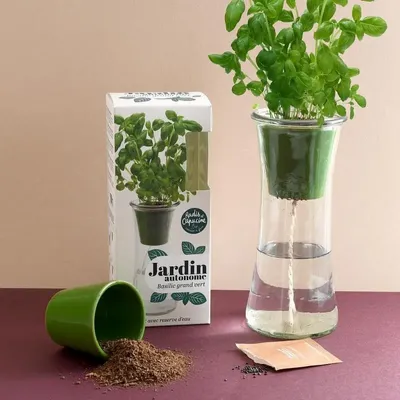 Garden accessories - Autonomous garden Basil grand vert bio - RADIS ET CAPUCINE