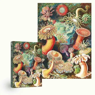 Gifts - Vintage 1000 pieces Jigsaw Puzzles from Penny Puzzle - PENNY PUZZLE