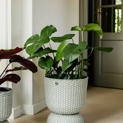 Poterie - TWIST - panier a plantes. - HANDED BY