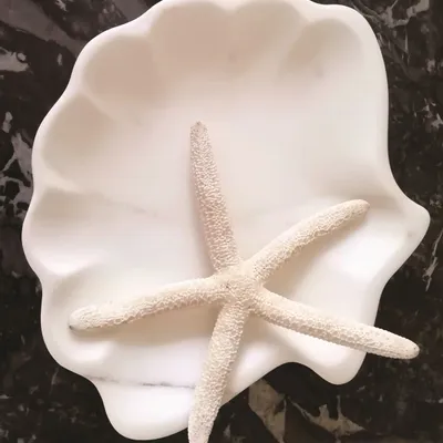 Trays - SHELL - VIEDELMARMO