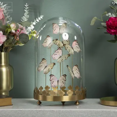 Objets personnalisables - Notre collection de papillons. - OBJET DE CURIOSITÉ