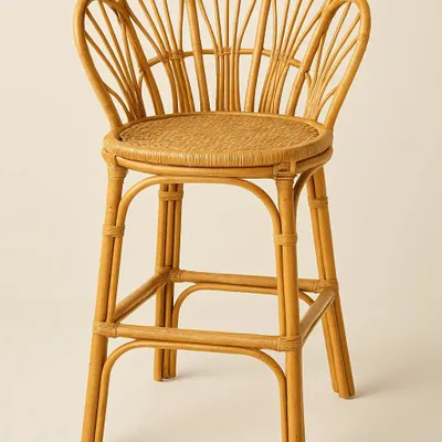 Lounge chairs - Scalloped Bar Chair - ISHELA