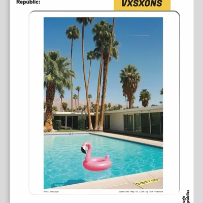 Poster - The Visions Awol - Affiche - IMAGE REPUBLIC