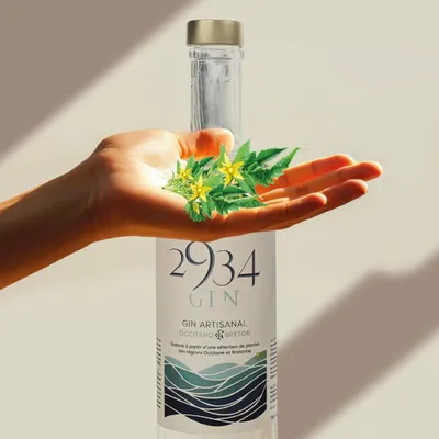 Delicatessen - 2934 Gin - 2934 GIN