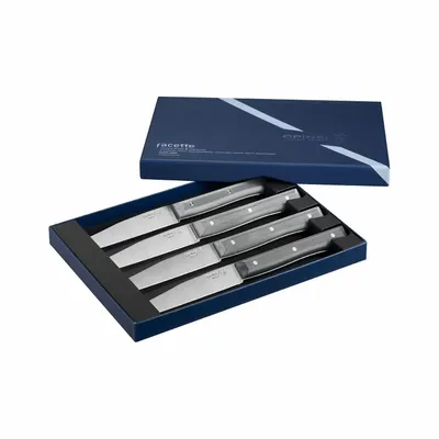 Knives - Table knives FACETTE - OPINEL