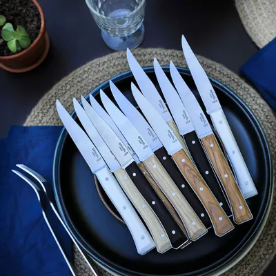 Knives - Table knives FACETTE - OPINEL