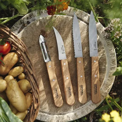 Kitchen utensils - Les Essentiels du Cuisinier small kitchen knives - OPINEL