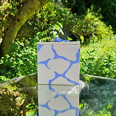Decorative objects - Chameleon candle - PONPON CURIOSITAS