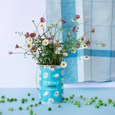 Cadeaux - Kit à semer "Graines d'amour" fabriqué en France - MAUVAISES GRAINES