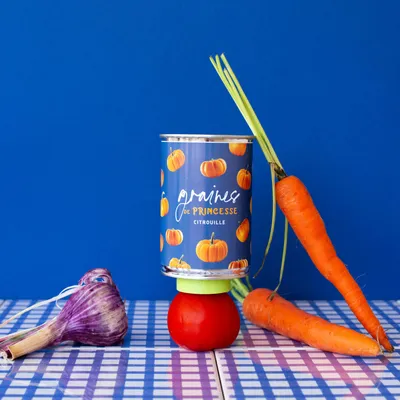 Gifts - Sowing kit\" Princess seeds\” Made in France - MAUVAISES GRAINES