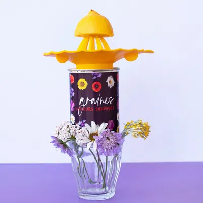 Cadeaux - Kit à semer "Graines de fleurs sauvages" Fabriqué en France - MAUVAISES GRAINES