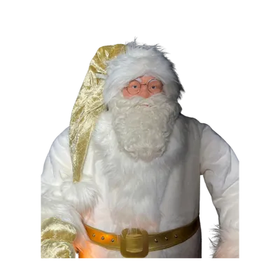 Autres décorations de Noël - Pere Noel blanc et ours polaire - ANIMATE FACTORY