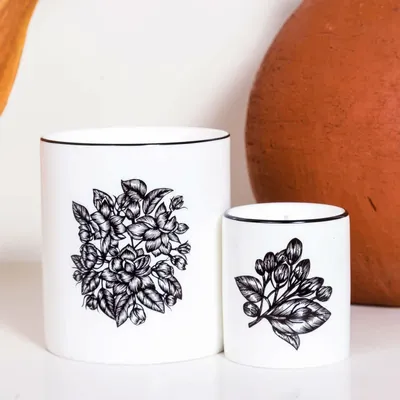 Candles - Jasmine Scented Bone China Candle - SHAKU