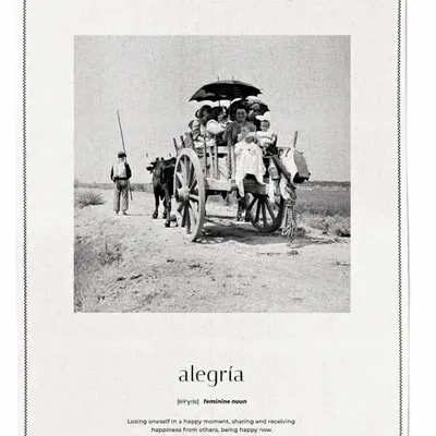 Kitchen linens - Alegria - Tea Towel - LUZ EDITIONS