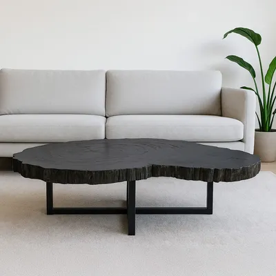 Office furniture and storage - Black petrified wood coffee tables - XYLEIA PETRIFIED WOOD