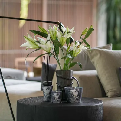 Home fragrances - ARABIAN EYES - ARTITUDE HOME
