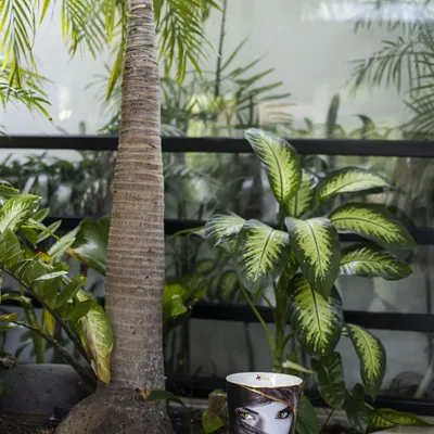 Parfums d'intérieur - Diffuseur parfum ARABIAN EYES - 500ml | ARTITUDE HOME - ARTITUDE HOME