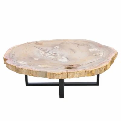 Office furniture and storage - Earth-toned petrified wood coffee tables - XYLEIA PETRIFIED WOOD