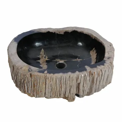 Washbasins - Petrified Wood Washbasins - XYLEIA PETRIFIED WOOD