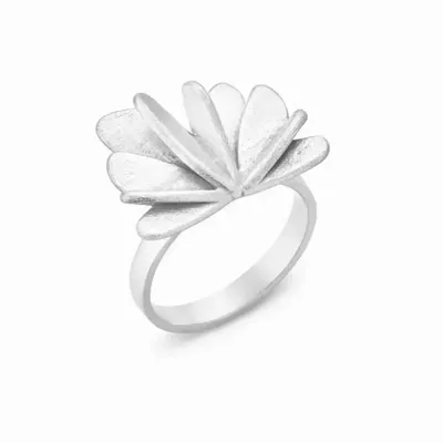 Jewelry - SILVER RING VOL - JOIDART