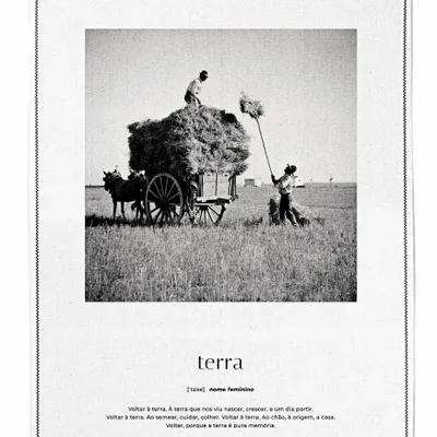 Linge d'office - Terra - Linge de cuisine - LUZ EDITIONS