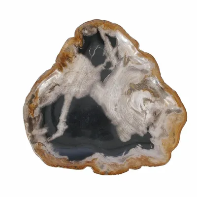 Platter and bowls - Petrified Wood Plates - XYLEIA PETRIFIED WOOD