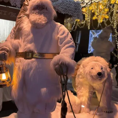 Other Christmas decorations - Santa Claus & polar bear - ANIMATE FACTORY